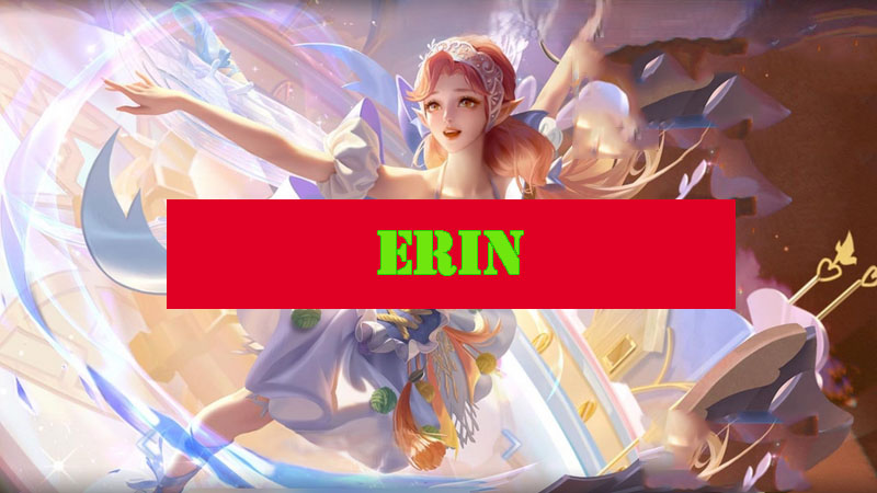 Erin Honor of Kings Build